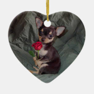 Chihuahua MerryRose Holding A Rose Ornament