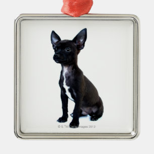 Chihuahua Metal Tree Decoration