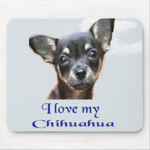 chihuahua mouse mat