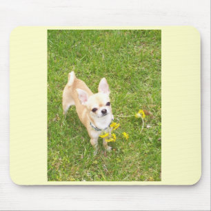 Chihuahua Mouse Mat