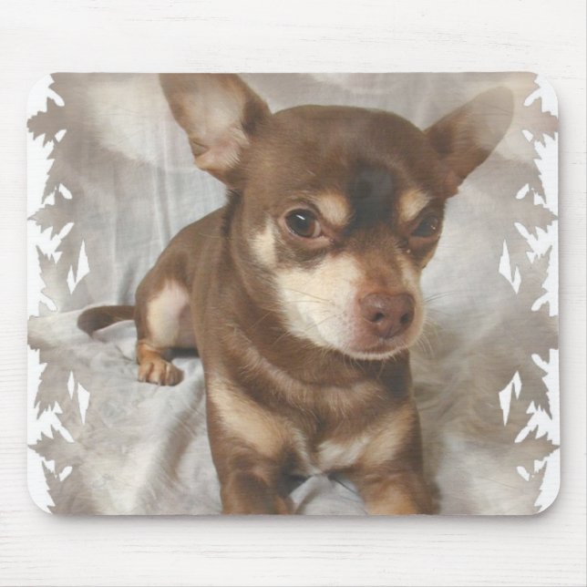 Chihuahua Mouse Pad (Front)