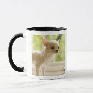 Chihuahua Mug