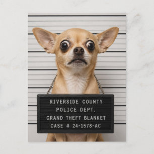 Chihuahua Mugshot: Grand Theft Blanket Postcard