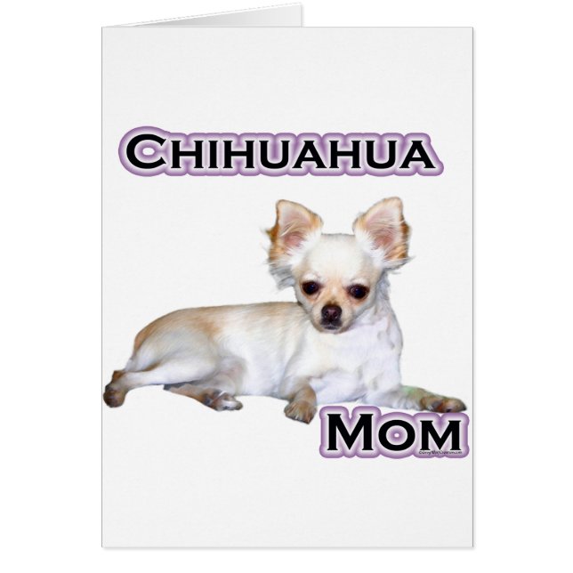 Chihuahua Mum 4 (Front)