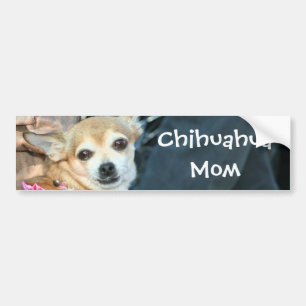 Chihuahua Mum Bumper sticker