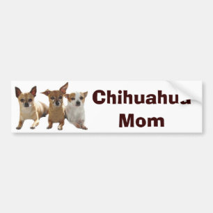 Chihuahua Mum Bumper Sticker