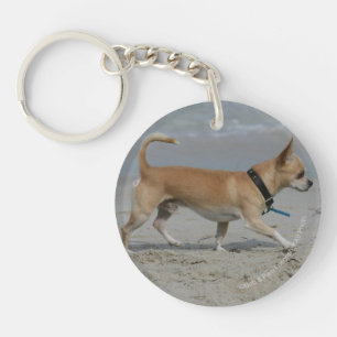Chihuahua on Beach Key Ring
