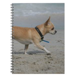 Chihuahua on Beach Notebook