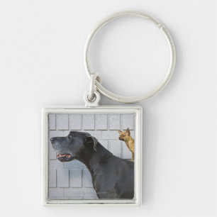 Chihuahua on Great Dane's back Key Ring