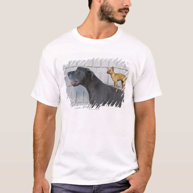 Chihuahua on Great Dane's back T-Shirt (Front)