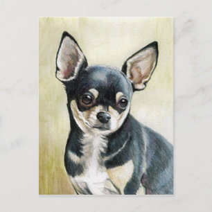 Chihuahua Original Art Postcard