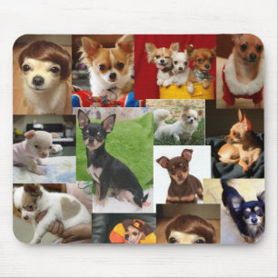 chihuahua pad mouse mat