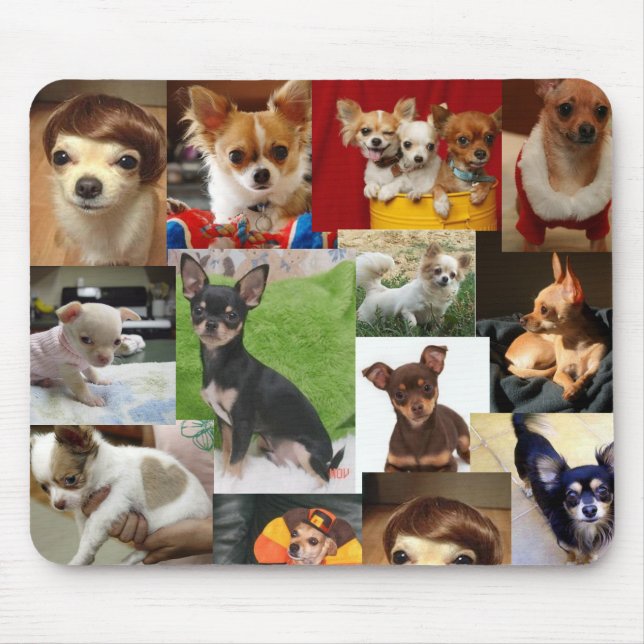 chihuahua pad mouse mat (Front)
