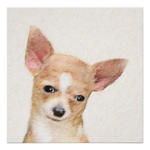 Chihuahua Painting - Cute Original Dog Art Poster