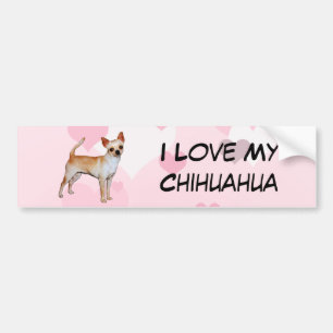 Chihuahua Pink & White Hearts Bumper Sticker