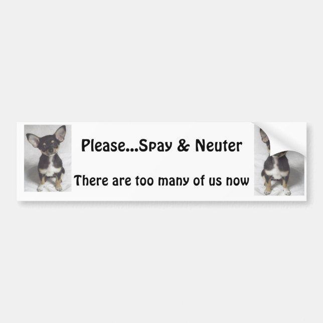 Chihuahua, Please Spay & Neuter Bumper Sticker (Front)