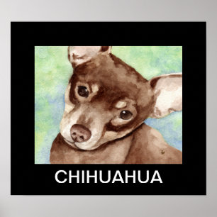 Chihuahua Portrait Poster