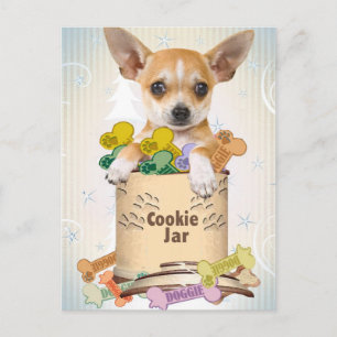 Chihuahua Posed with Cookie Jar Postcard