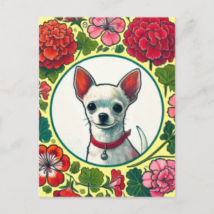Chihuahua                                          postcard