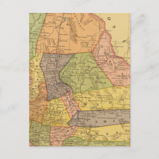 Chihuahua Postcard (Front)