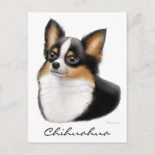 Chihuahua Postcard