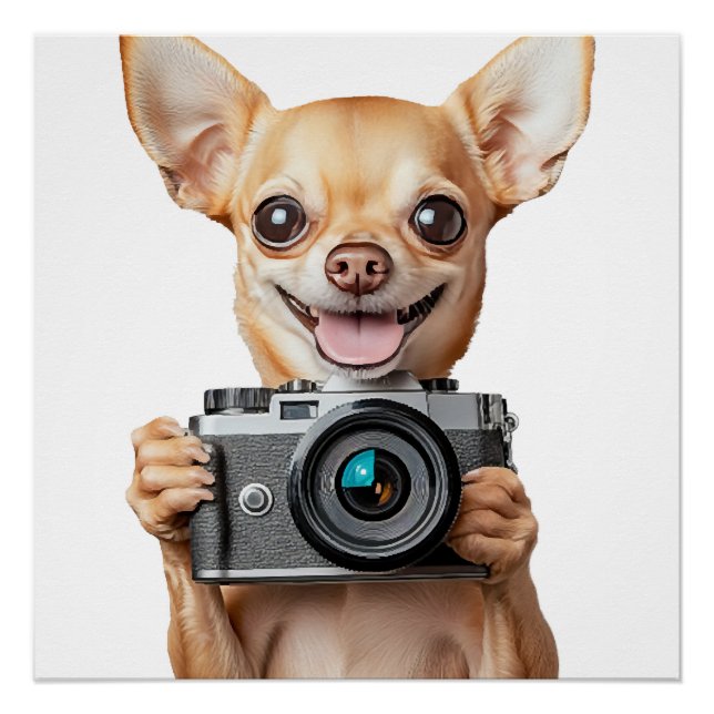 Chihuahua Poster (Front)