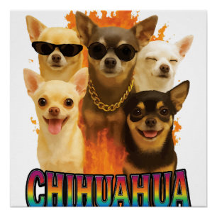 Chihuahua  poster