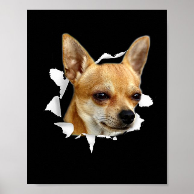 Chihuahua Poster (Front)