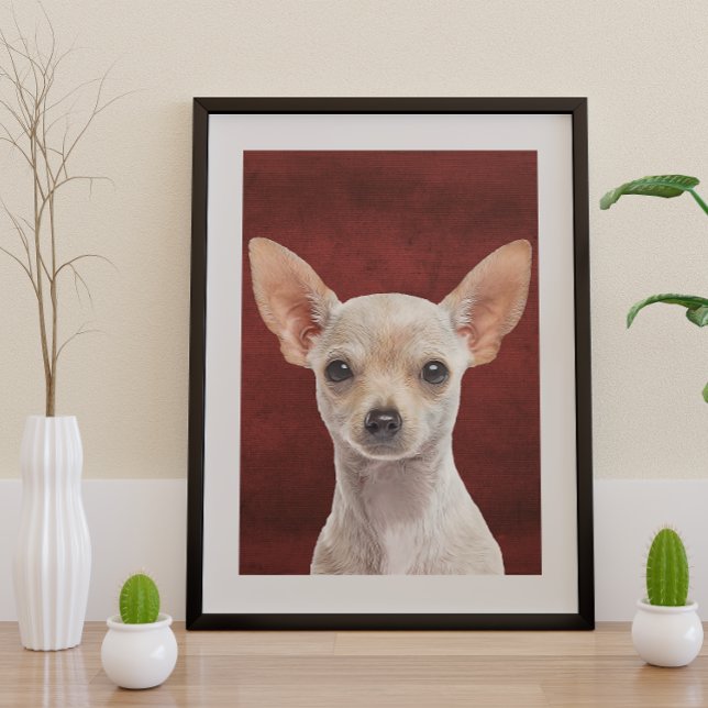 Chihuahua Poster (Creator Uploaded)