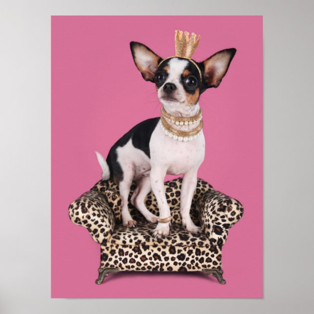 Chihuahua Princess Poster (Front)