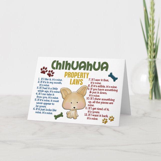 Chihuahua Property Laws 4 Card (Front)