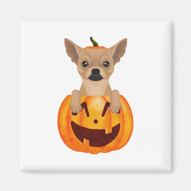 Chihuahua Pumpkin  Magnet (Front)