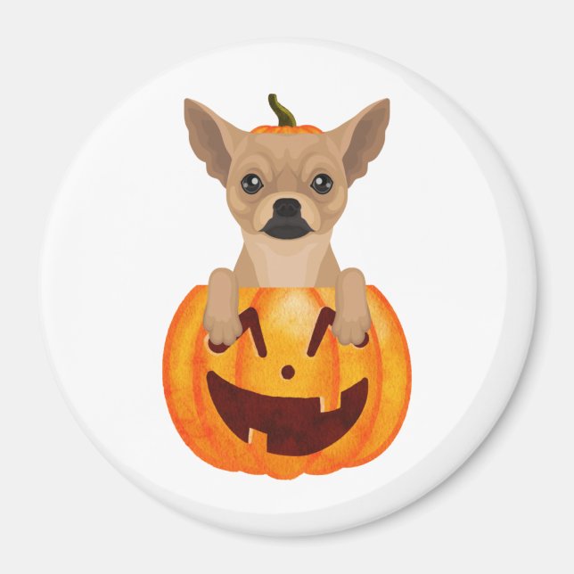 Chihuahua Pumpkin    Magnet (Front)