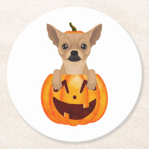 Chihuahua Pumpkin Round Paper Coaster