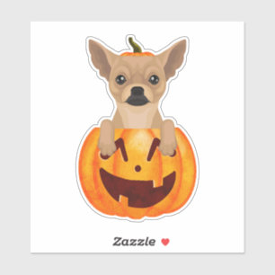 Chihuahua Pumpkin  Sticker