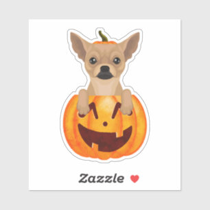 Chihuahua Pumpkin  Sticker