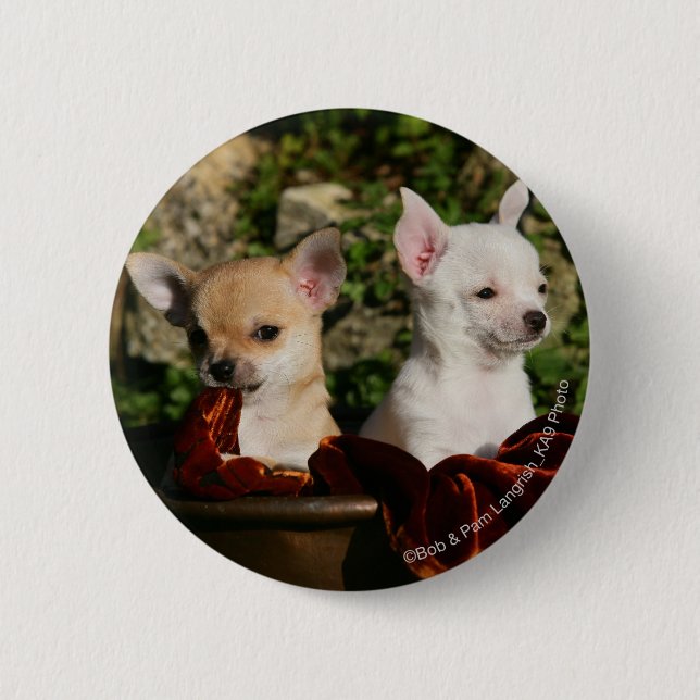 Chihuahua Puppies 6 Cm Round Badge (Front)