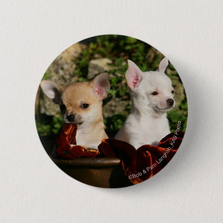 Chihuahua Puppies 6 Cm Round Badge