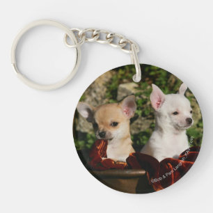 Chihuahua Puppies Key Ring