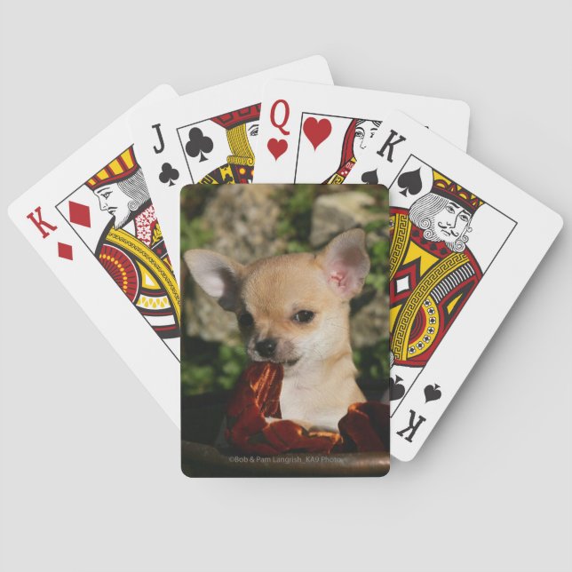 Chihuahua Puppies Playing Cards (Back)