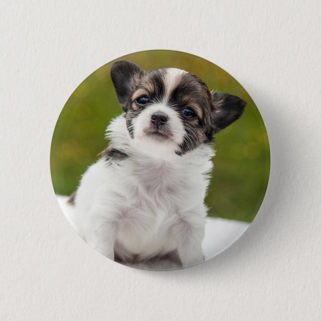Chihuahua Puppy 6 Cm Round Badge (Front)