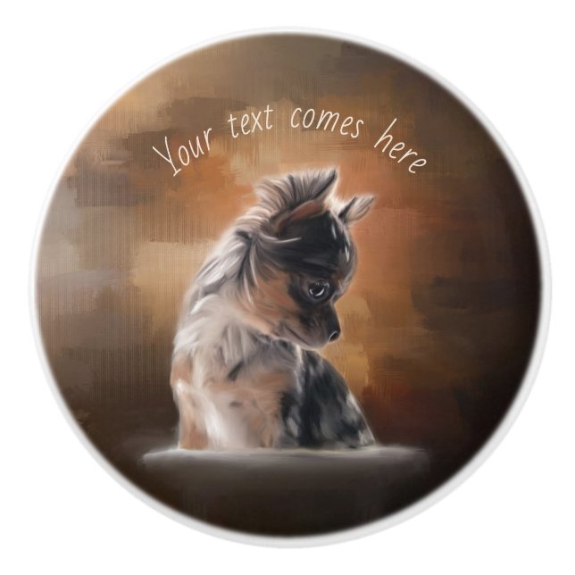 Chihuahua puppy ceramic knob (Front)