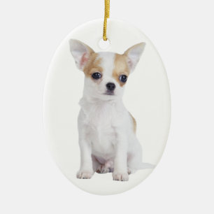 Chihuahua puppy ceramic tree decoration