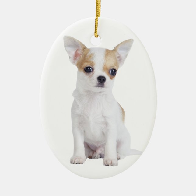 Chihuahua puppy ceramic tree decoration (Front)
