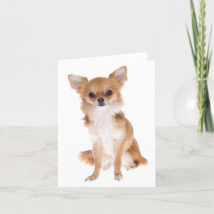 Chihuahua Puppy Dog Blank Notecard