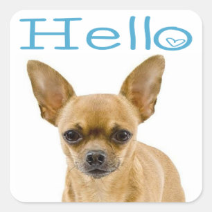 Chihuahua Puppy Dog Blue Hello Heart Square Sticker