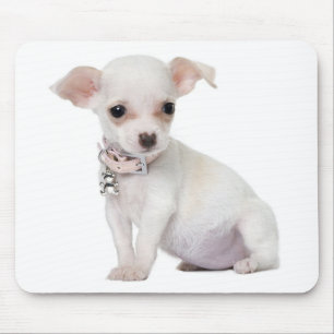 Chihuahua Puppy Dog Computer Mousepad
