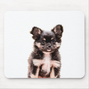 Chihuahua Puppy Dog Mouse Mat