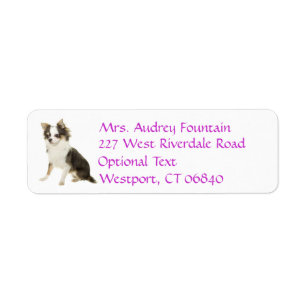 Chihuahua Puppy Dog Return Address Name Label