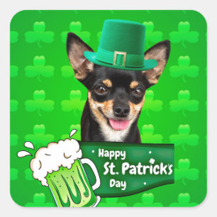 Chihuahua Puppy Dog St. Patrick's Day Green Clover Square Sticker